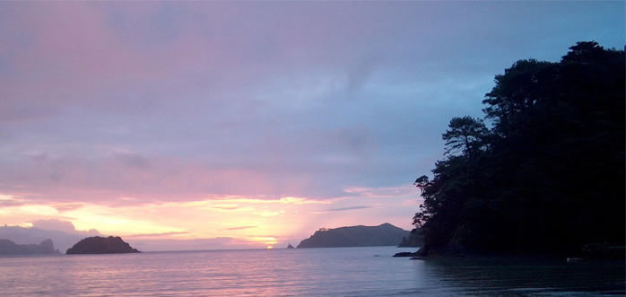 koru naturals great barrier island