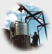 manuka oil distillation