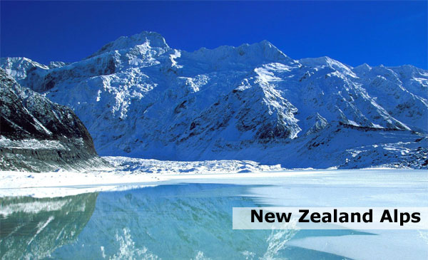 nzalps